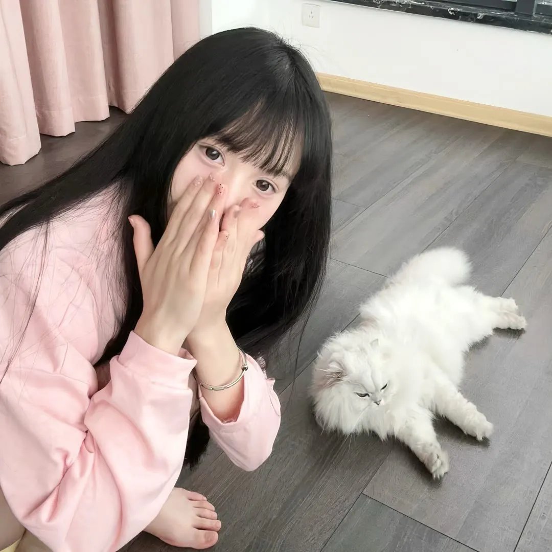 红灯梦